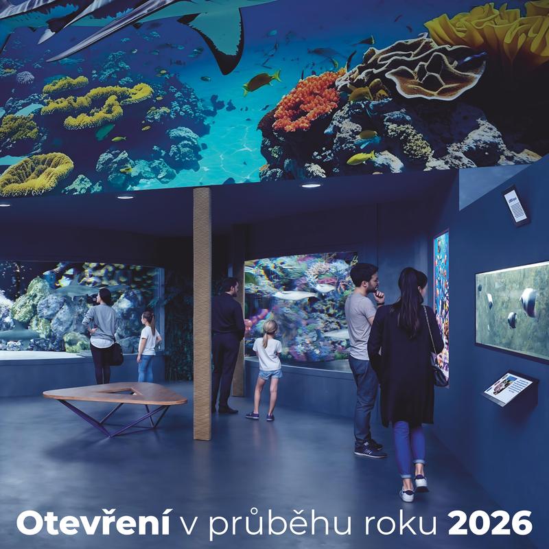 Vizualizace expozice